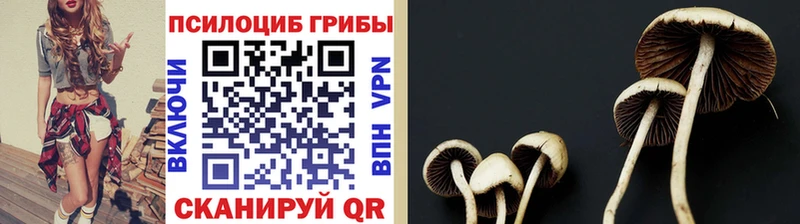 Псилоцибиновые грибы GOLDEN TEACHER Усть-Кут
