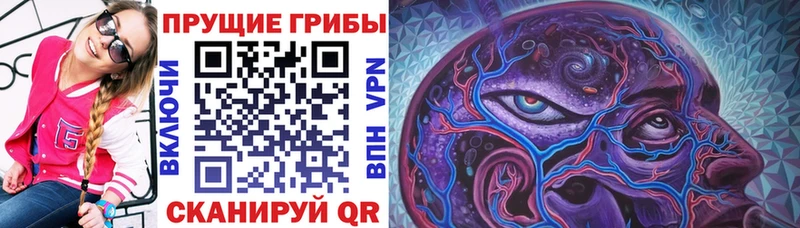 Галлюциногенные грибы прущие грибы  как найти   Усть-Кут 