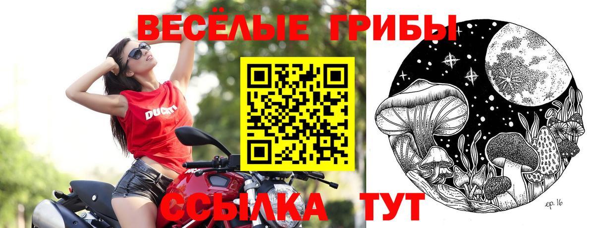 Псилоцибиновые грибы мухоморы  Вход с VPN  Усть-Кут 