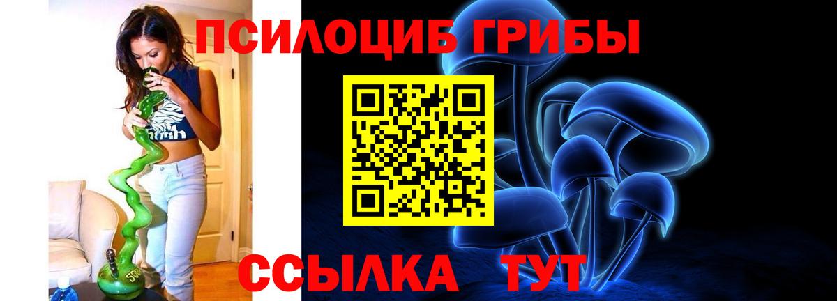 Псилоцибиновые грибы Cubensis Усть-Кут